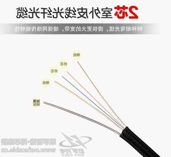 邵阳市欧孚光缆厂家 双芯皮线光缆是什么结构的